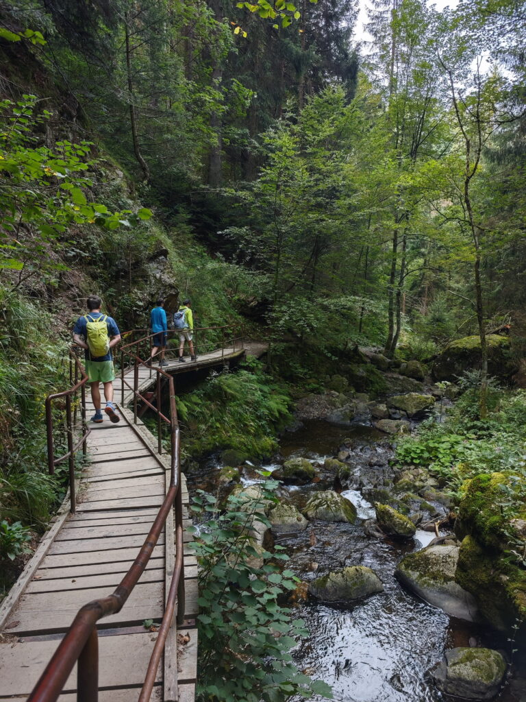 schöne Landschaften Deutschland: Die Ravennaschlucht im Schwarzwald